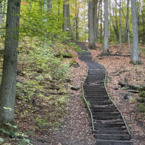 blog image thumbnail